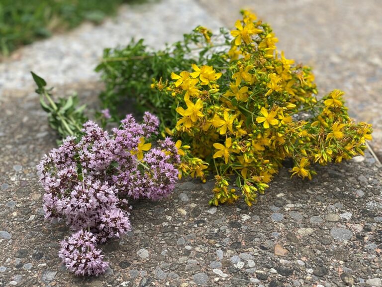 VISION WIRD WIRKLICHKEIT