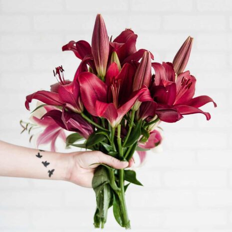 Pexels Dominika Roseclay 1179026