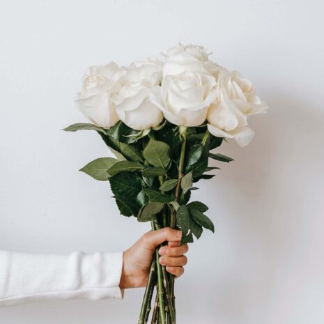 Pexels Teona Swift 6913829 2 Pexels Teona Swift 6913829 2