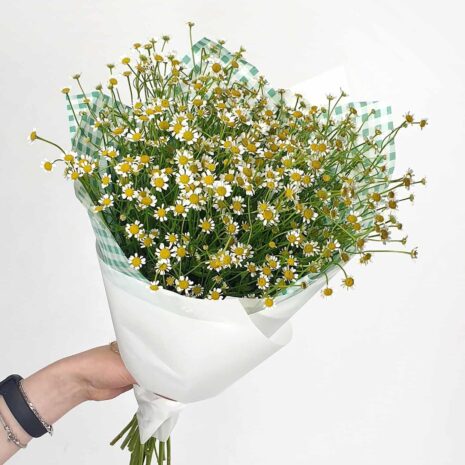 Pexels алекке блажин 6870127