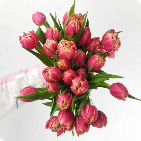 Pexels алекке блажин 6870135 Pexels алекке блажин 6870135